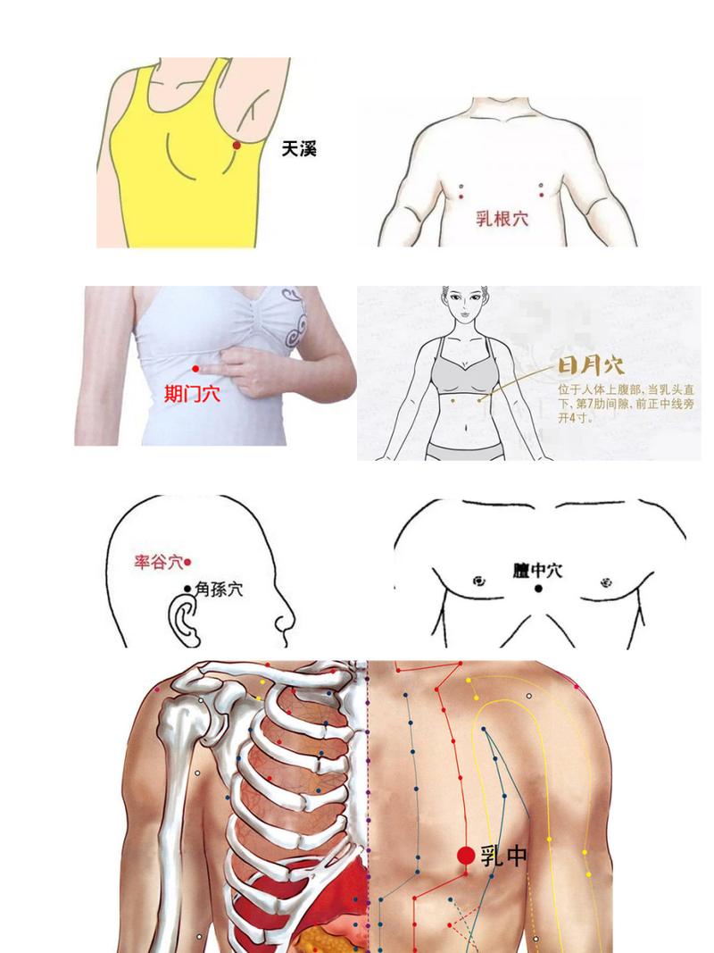 乳房肿块艾炙什么穴位