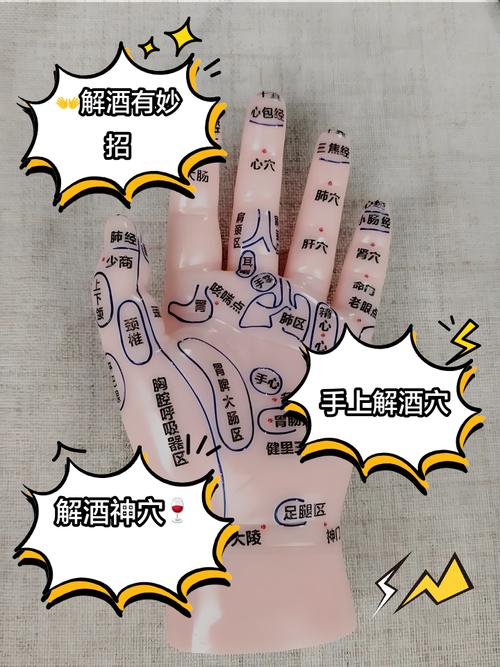 酒后可以按摩哪些穴位