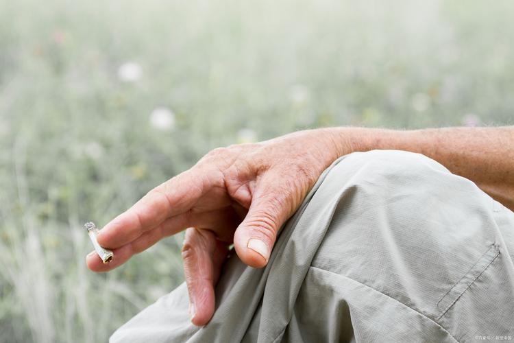 有过脑梗出现手脚发麻