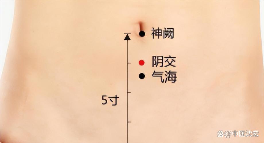 乳腺囊肿按摩哪个穴位