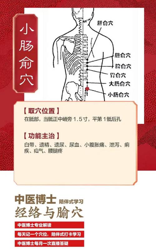 肠炎痔疮按摩什么穴位