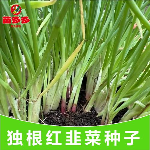 脑梗可以常打丹参注射