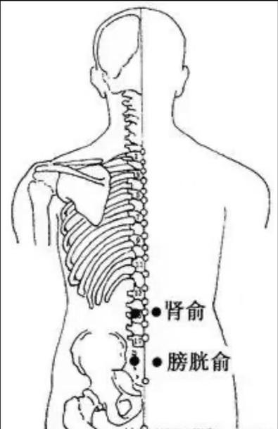 按摩穴位治疗小儿遗尿