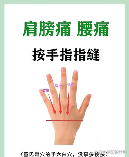 肩周炎治疗按哪些穴位