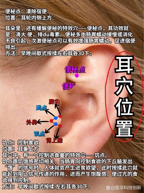 失眠耳朵对应 穴位图