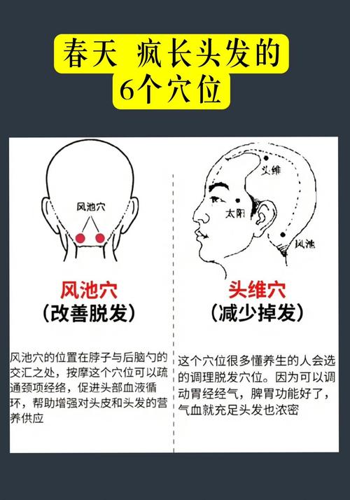 生长头发按摩方法穴位