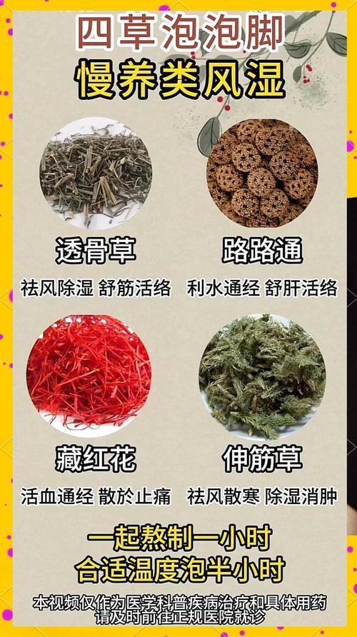 治疗类风湿的中药有哪些