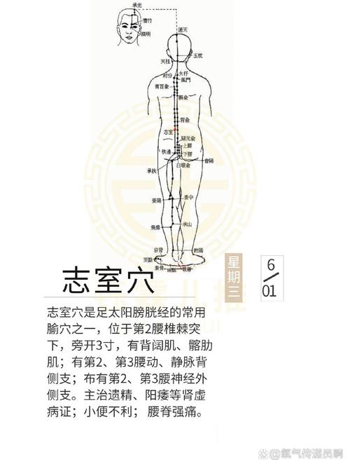阳痿按摩人体那些穴位