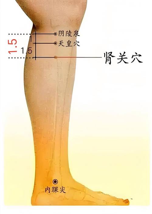 阳痿按摩人体那些穴位