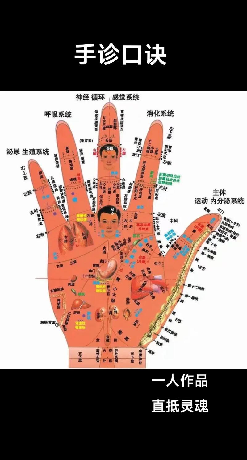 右手手上穴位对应内脏