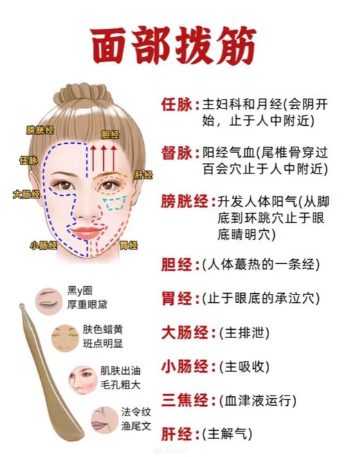哪个穴位可以收缩毛孔