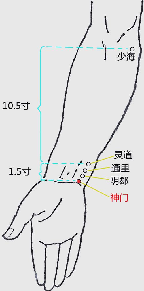 内关 通里 神门穴位