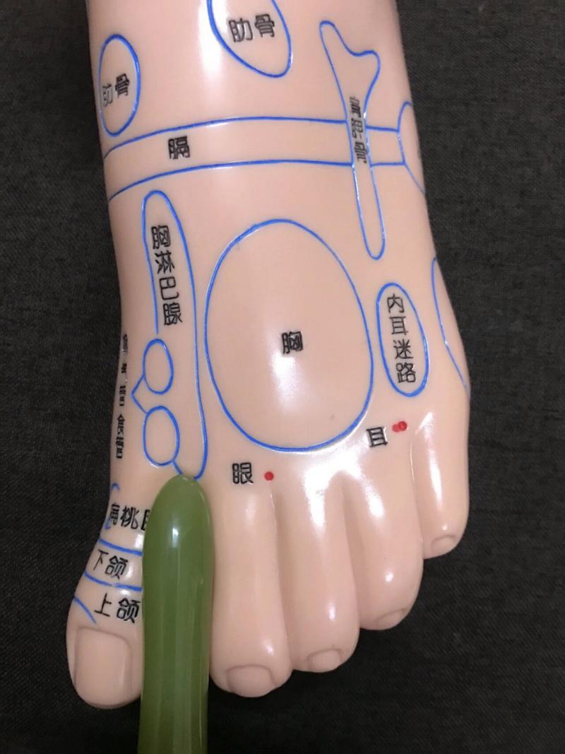 足部穴位视频 乳房