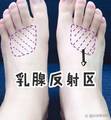 足部穴位视频 乳房