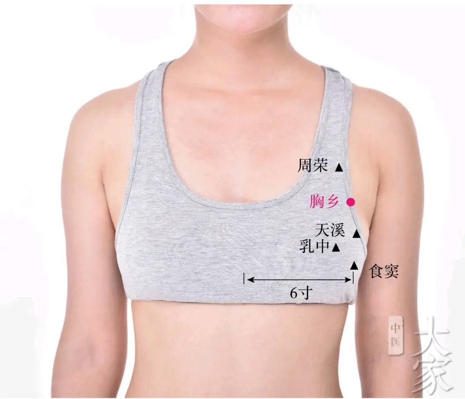 足部穴位视频 乳房