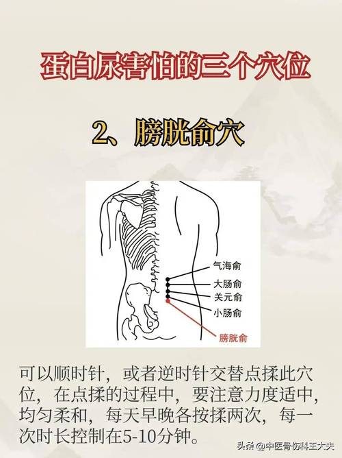 尿道括约肌痉挛 穴位