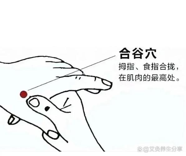 合谷 曲池 外关穴位
