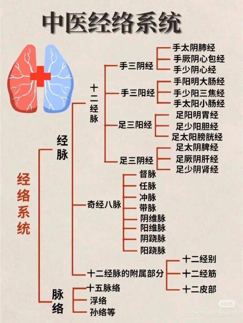 穴位养生 健康之路