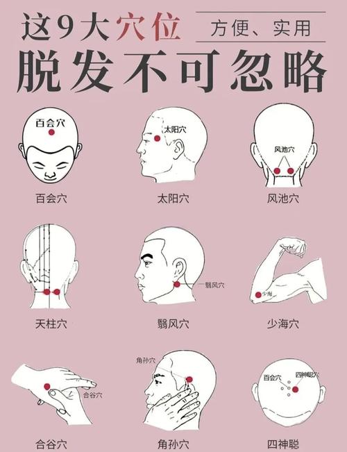 按摩穴位 治疗脱发