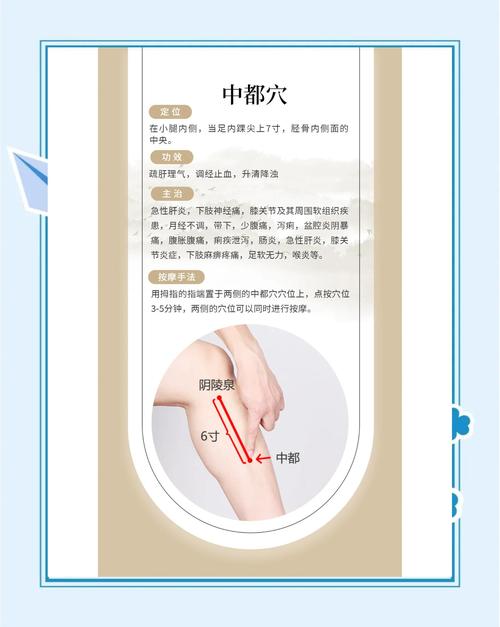 胫骨前缘 内侧 穴位