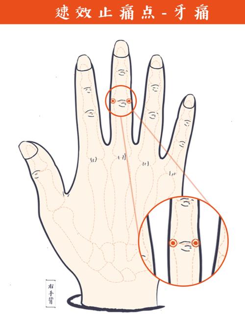 牙痛上火 按摩穴位