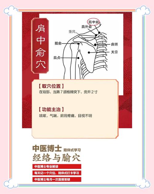 人体穴位大全 肩周炎