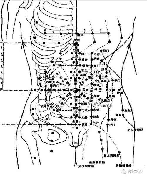 中医houbu穴位网