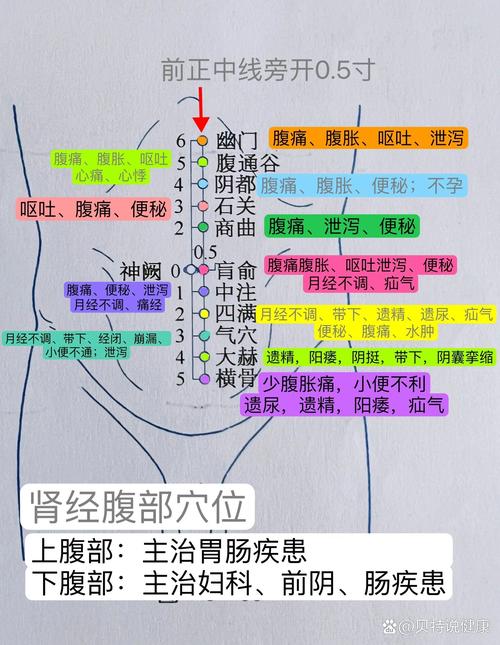 中医houbu穴位网