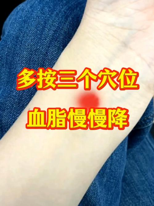 高脂血症按摩什么穴位