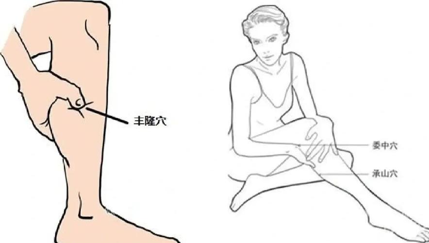 高脂血症按摩什么穴位