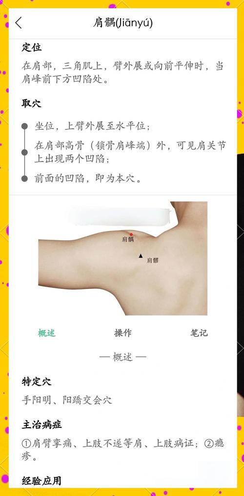 肩髃 肩髎 肩贞穴位