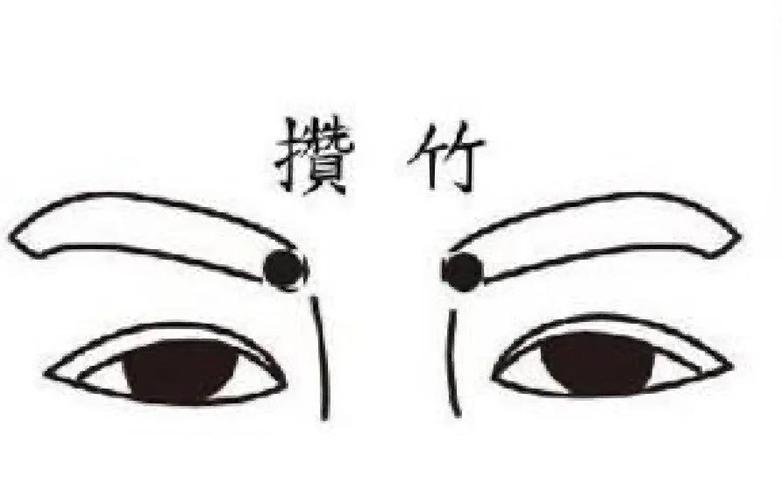 穴位图-攒竹穴