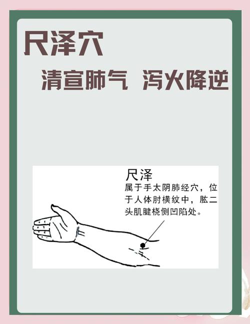 小海 尺泽 天井穴位