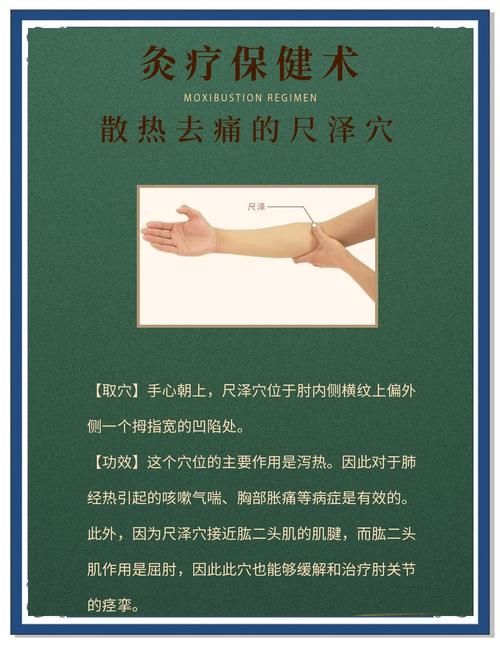 小海 尺泽 天井穴位