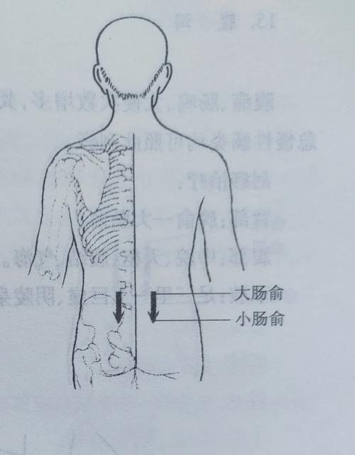 小 肠 穴位 疗