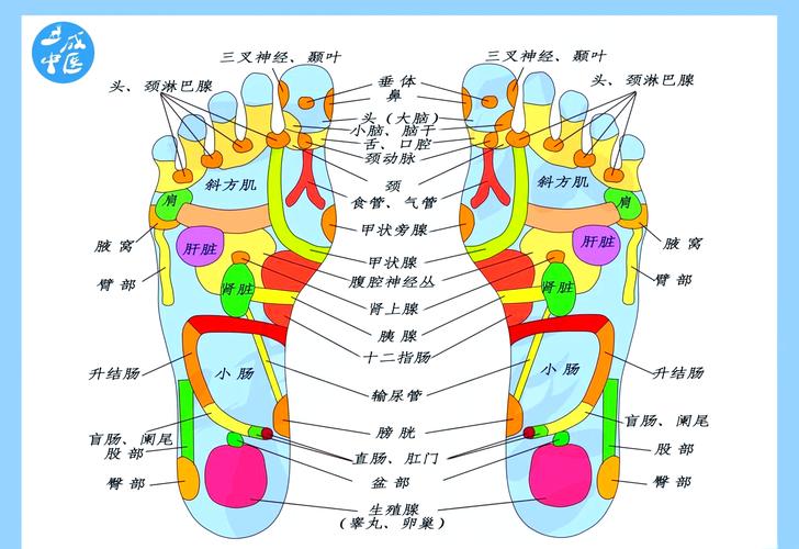 脚底 穴位 心脏 疼