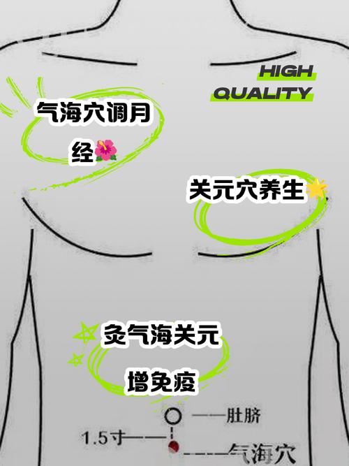 关元 气海 中极穴位