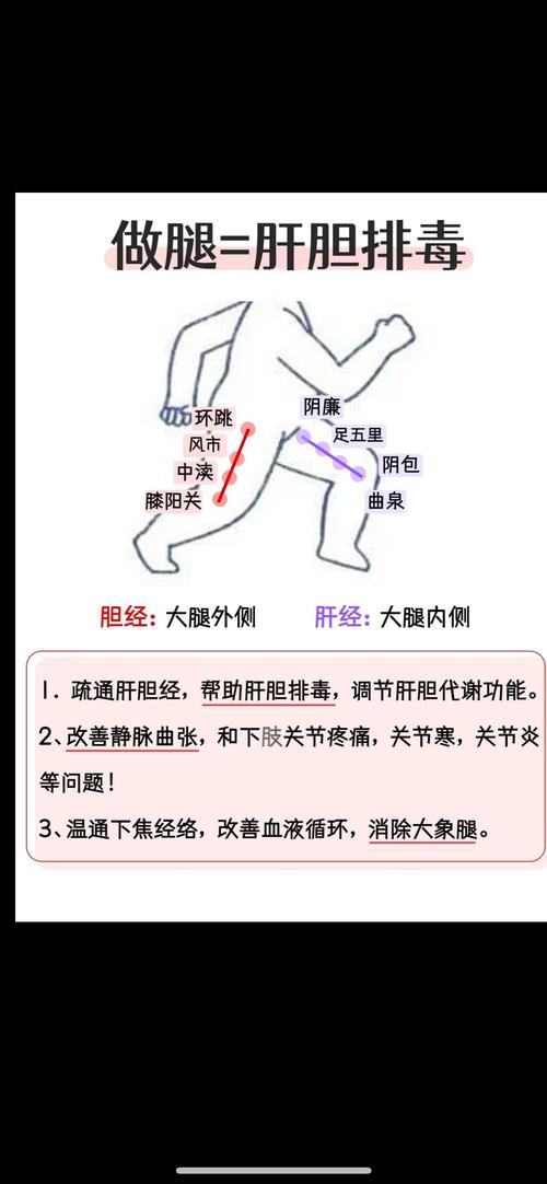 胆经穴位图及穴位作用