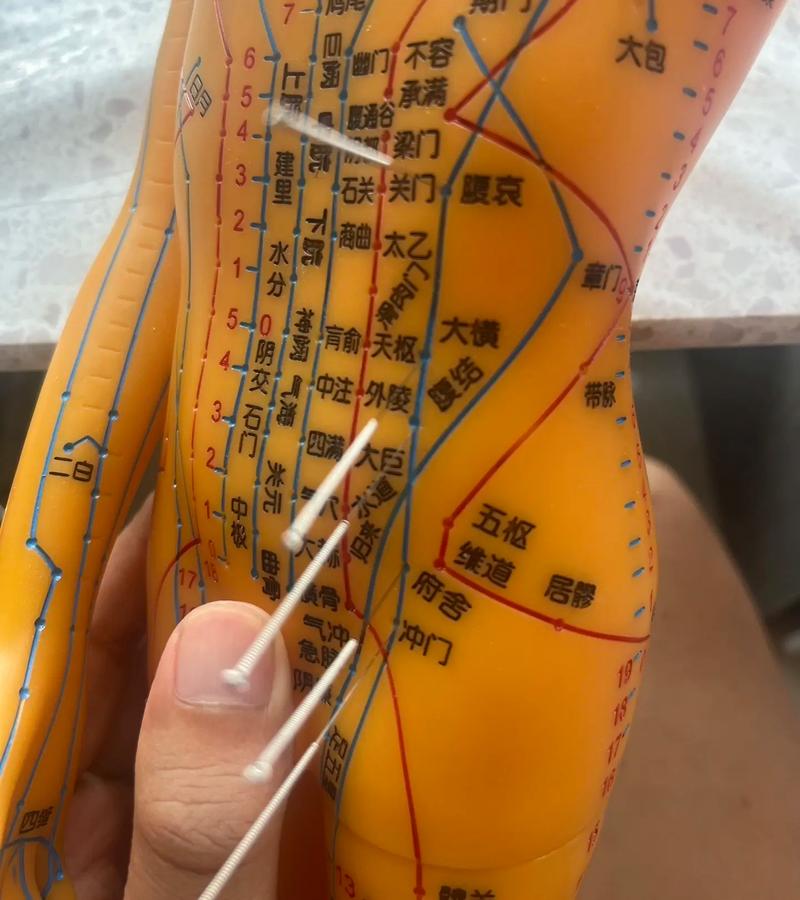 哪个穴位是管脾经穴位