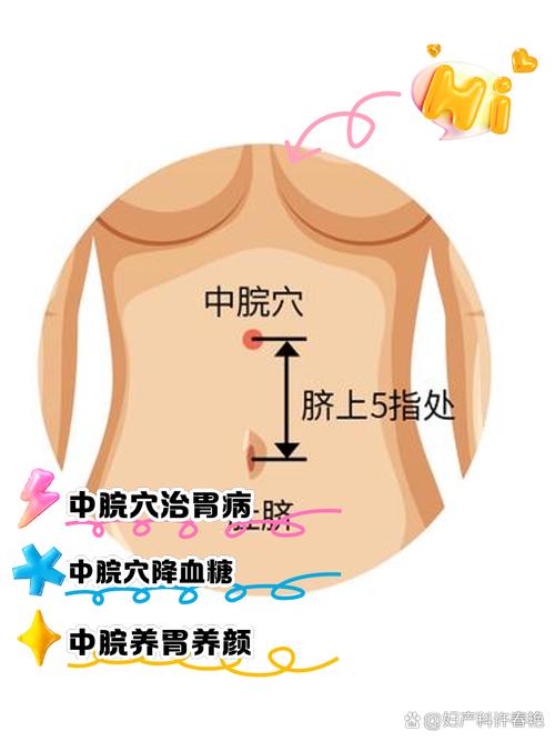 人体穴位图中脘穴位置