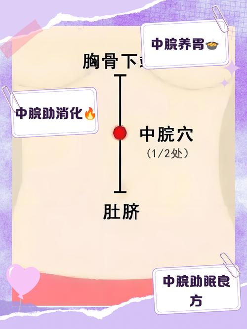 人体穴位图中脘穴位置