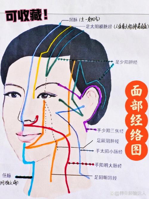 面部穴位图面部穴位图