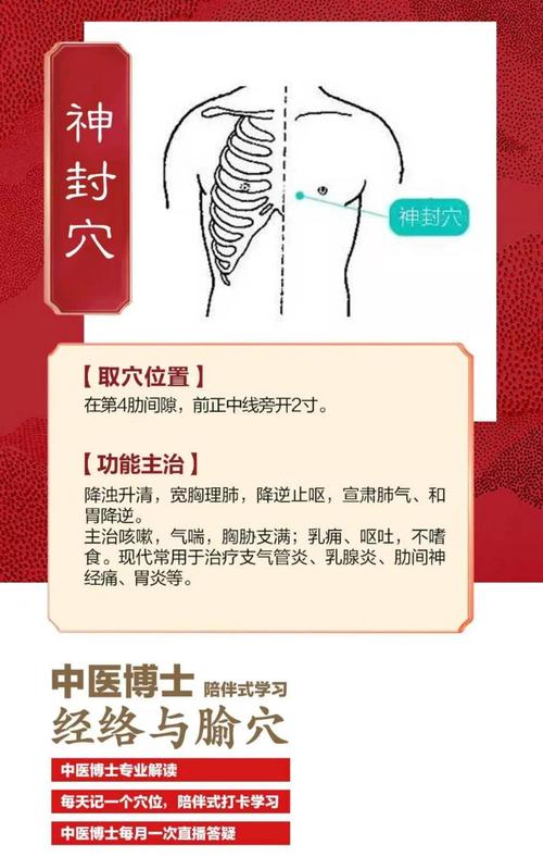 穴位减肥还要封穴位吗