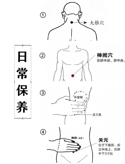 穴位敷贴时穴位的选择