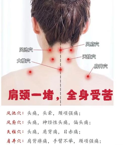 穴位风池穴位疼呀回事