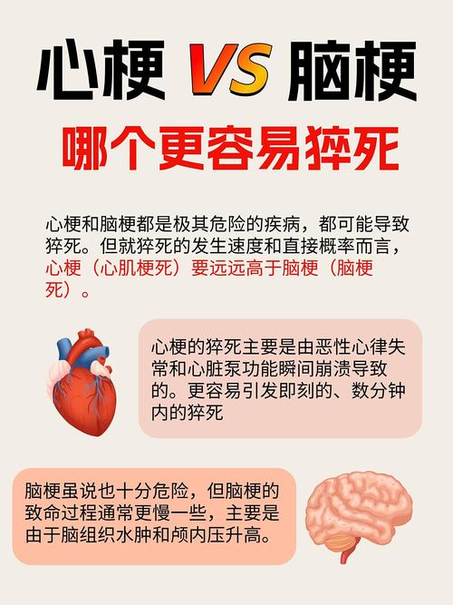 心梗和脑梗有关联系吗