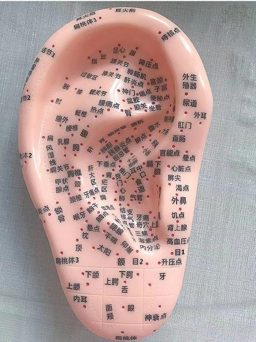 耳聋用穴位贴什么穴位