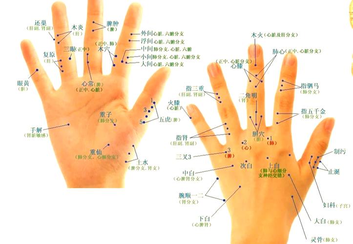 按摩穴位与针灸穴位图