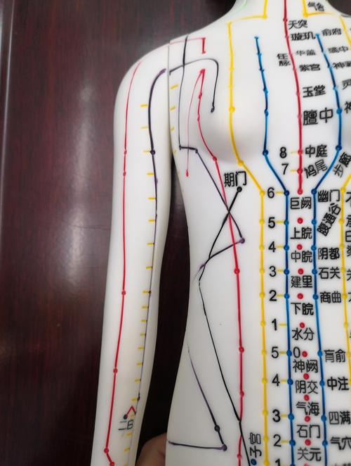 按摩穴位与针灸穴位图