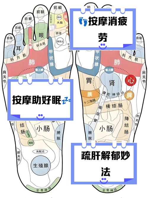脚底穴位管欲望的穴位